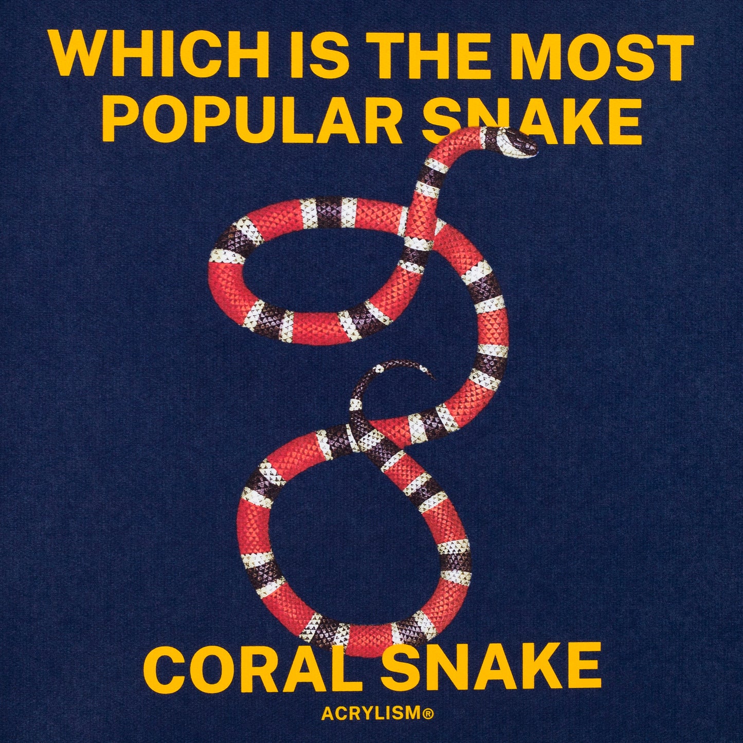 which is the most popular snake coral snake #0088
