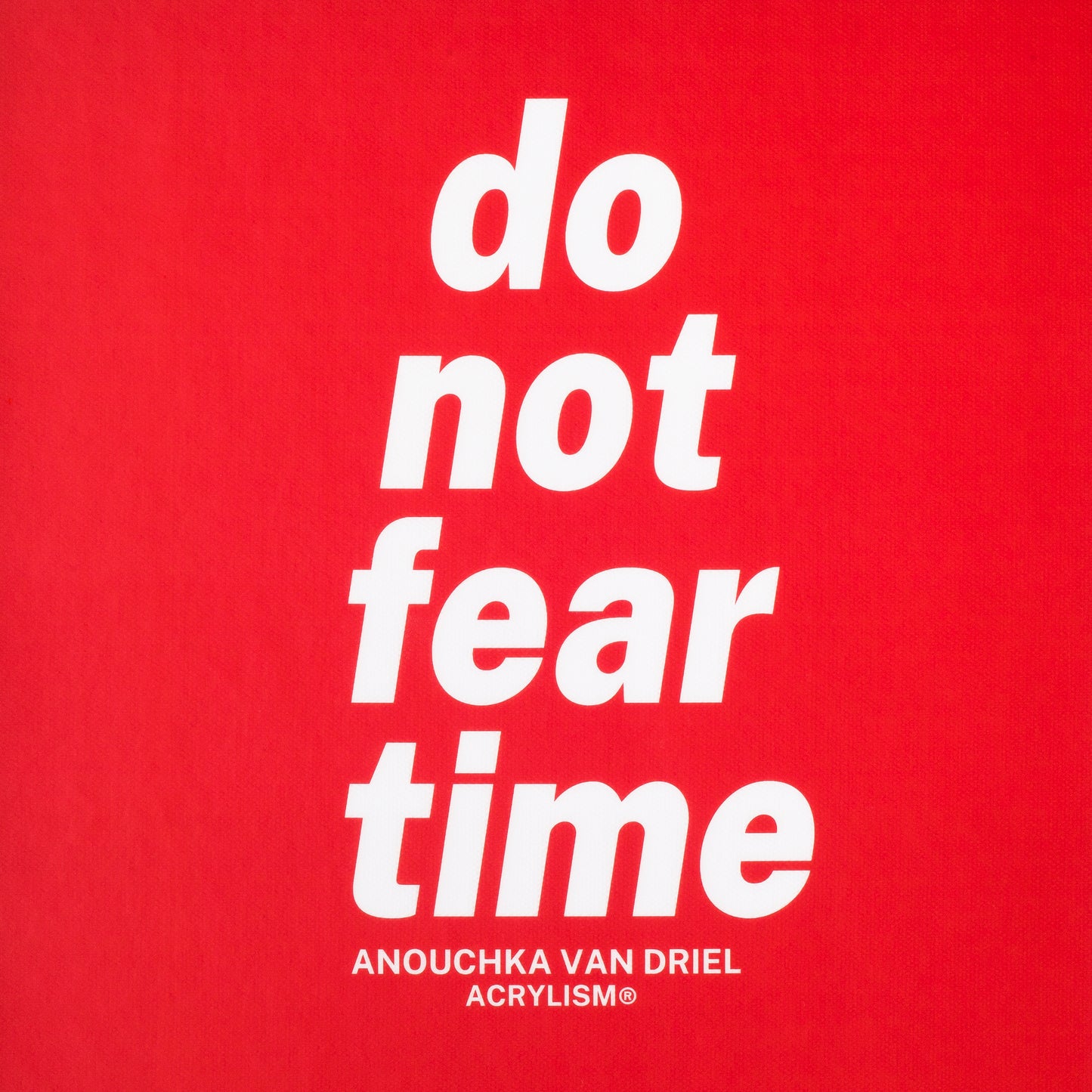 Anouchka van Driel: do not fear time