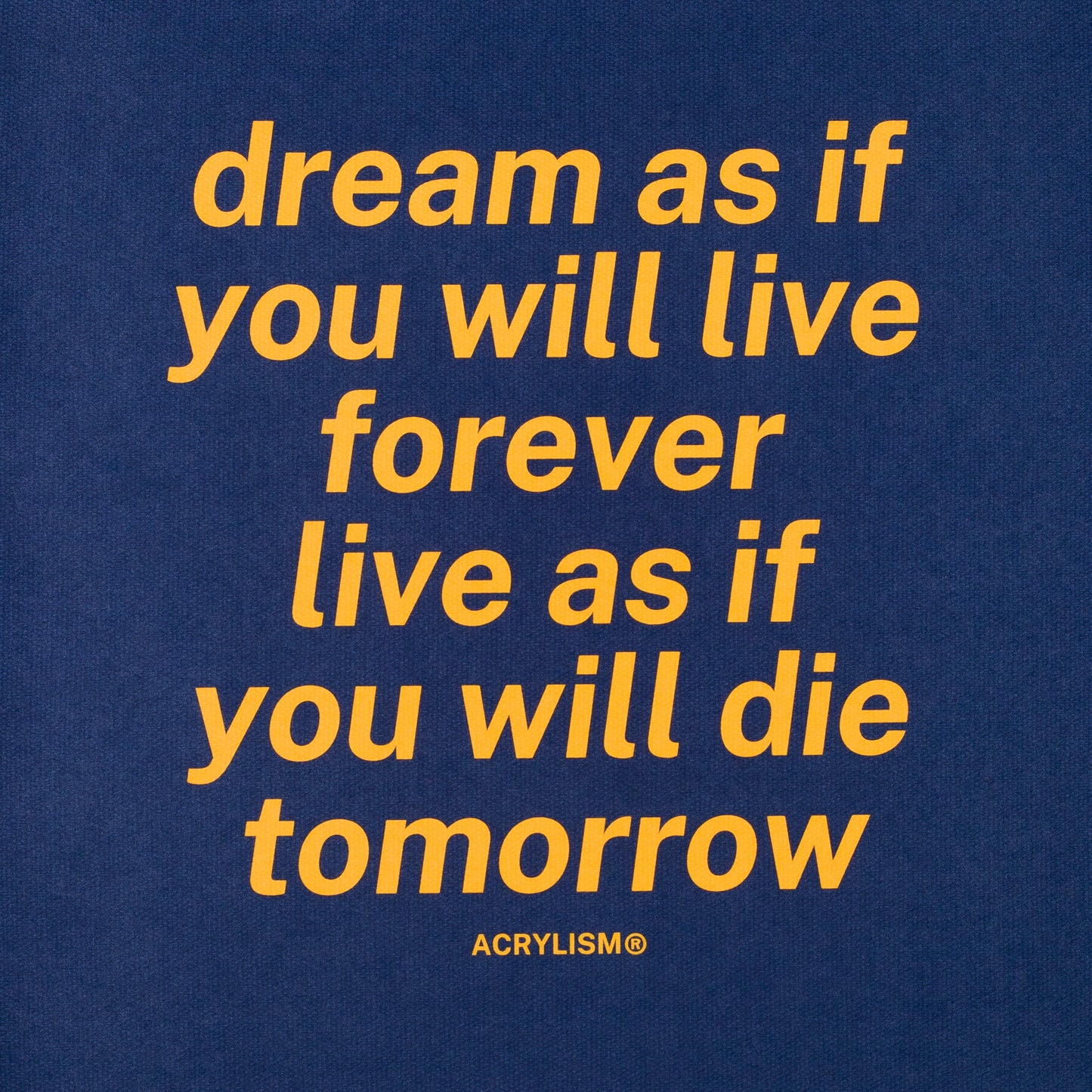 dream as if you will live forever live as if you will die tomorrow #0066